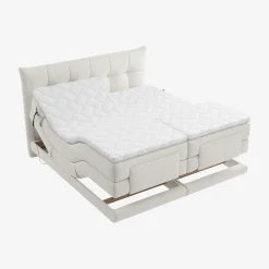 New Habitat Aimie