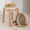Best Habitat Amicie