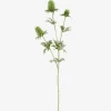 Clearance Habitat Sia green shop